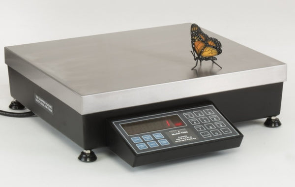 Pennsylvania, Series 7600 Bench Count and Weigh Scale