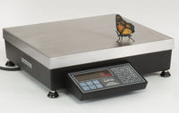 Pennsylvania, Series 7600 Bench Count and Weigh Scale