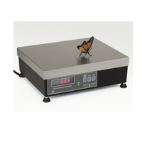 Pennsylvania, Series 7300 Bench Weighing Scale